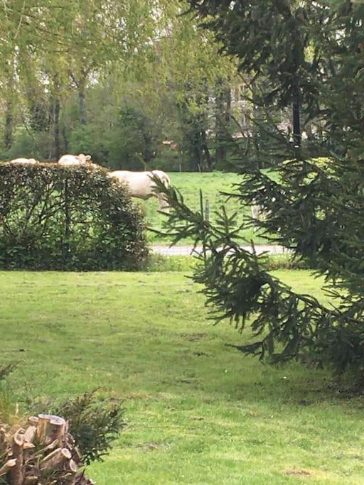 Cottage De Charme A La Campagne Aulnoy Екстер'єр фото