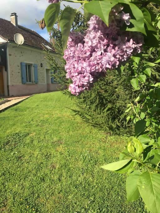 Cottage De Charme A La Campagne Aulnoy Екстер'єр фото